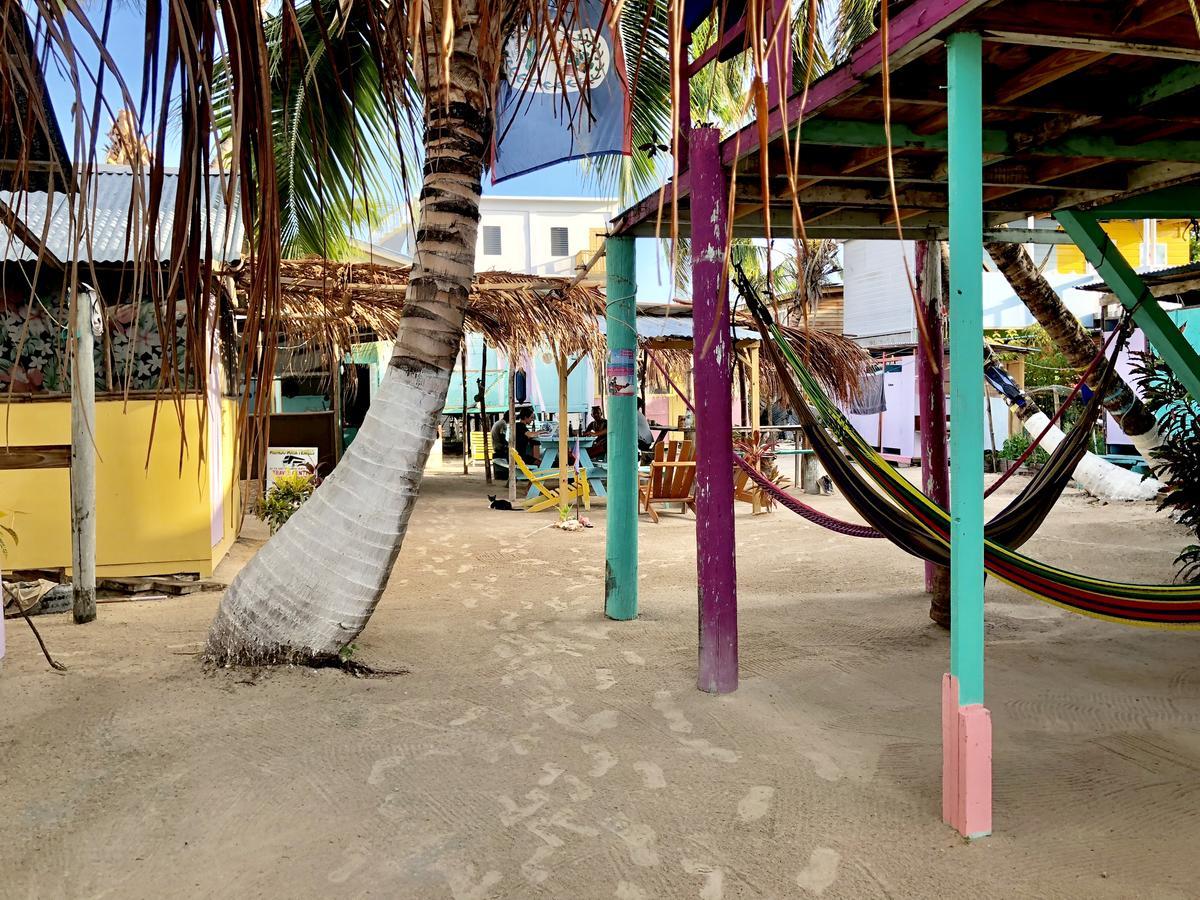 Auberge de jeunesse Tropical Oasis à Caye Corker Extérieur photo