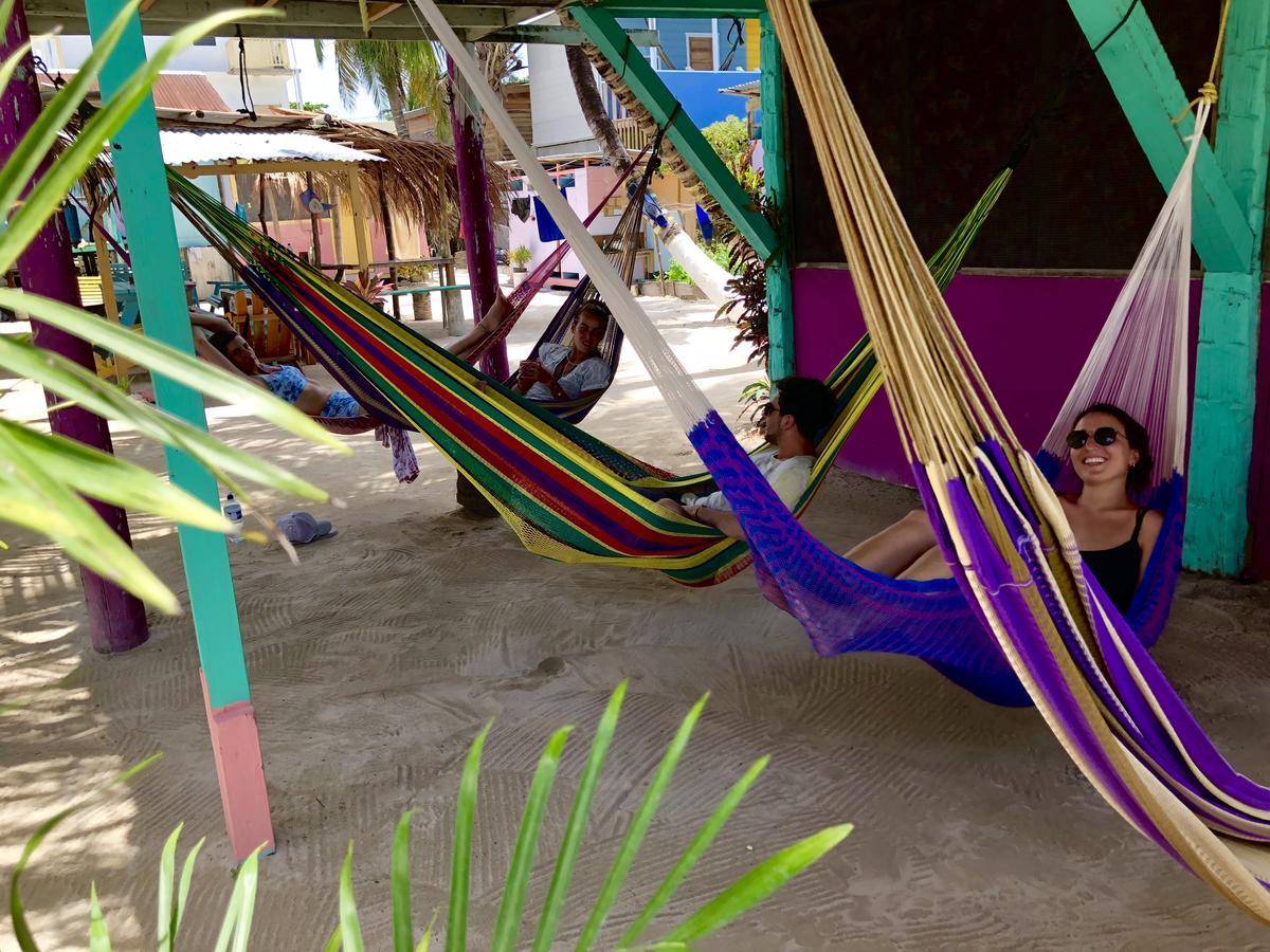 Auberge de jeunesse Tropical Oasis à Caye Corker Extérieur photo