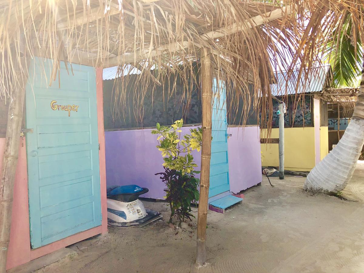 Auberge de jeunesse Tropical Oasis à Caye Corker Extérieur photo