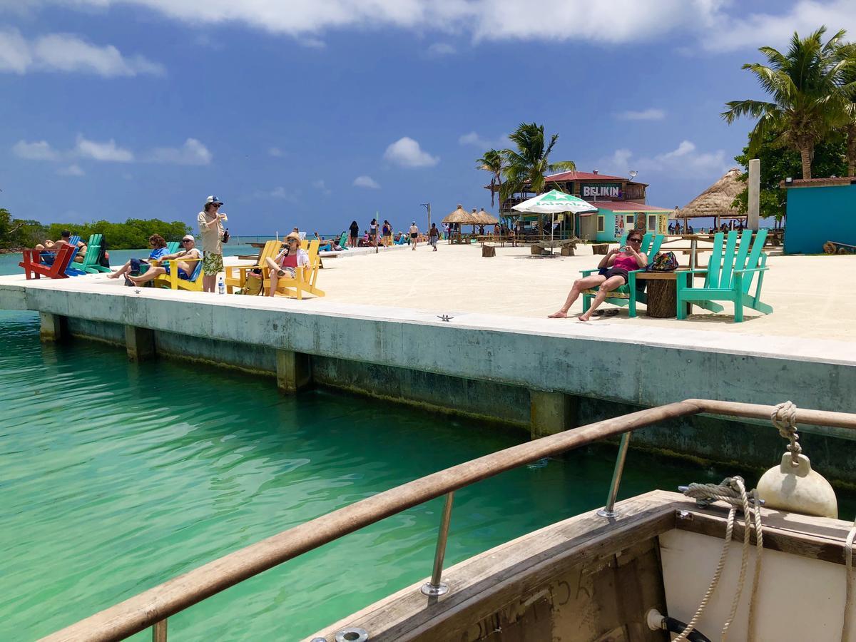 Auberge de jeunesse Tropical Oasis à Caye Corker Extérieur photo