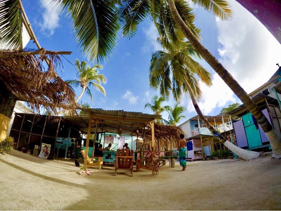 Auberge de jeunesse Tropical Oasis à Caye Corker Extérieur photo